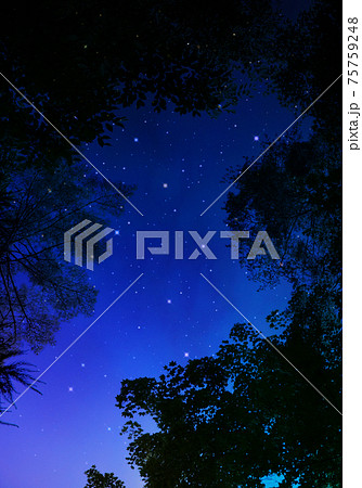 森から見上げる星空、創造アートのイラスト素材 [75759248] - PIXTA
