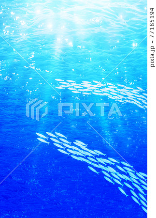 海中 魚の群れのイラスト素材 [77185194] - PIXTA