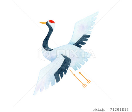 手描き水彩 | 鶴 イラストのイラスト素材 [71291812] - PIXTA