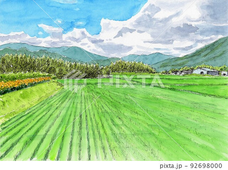 真夏の田園風景のイラスト素材 [92698000] - PIXTA