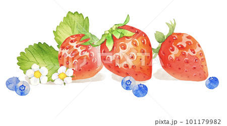 フレッシュな苺とブルーベリーの水彩イラストのイラスト素材