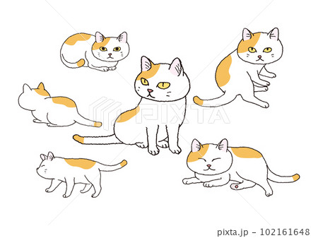 かわいい白茶ぶち猫の手描きイラストのイラスト素材 [102161648] - PIXTA