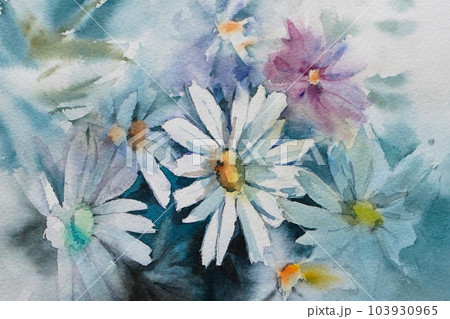 マーガレット 水彩画 のイラスト素材 [103930965] - PIXTA