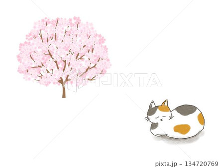 猫 春 花 桜のイラスト素材 - PIXTA