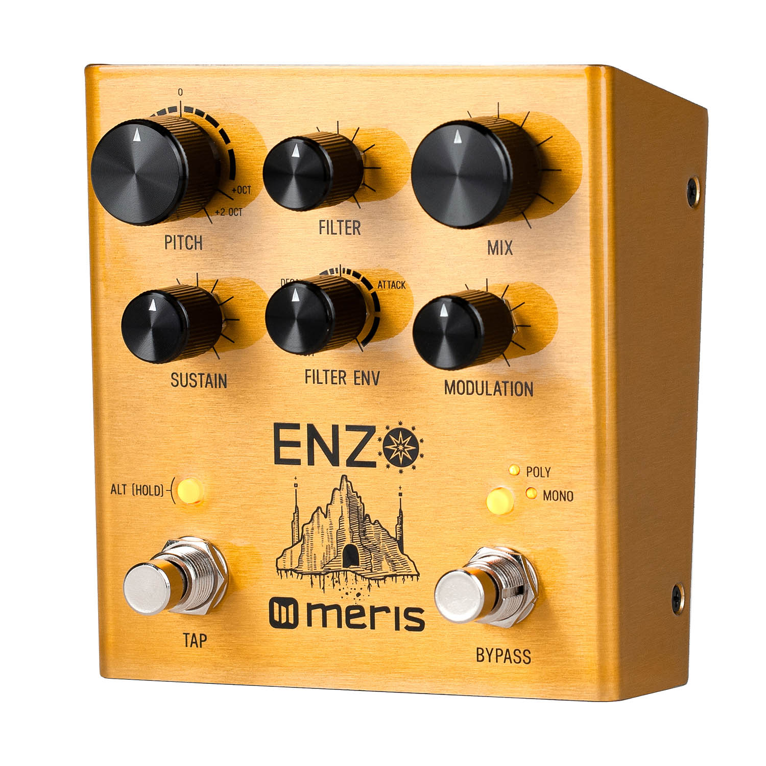 Meris Enzo | The Pedal Zone