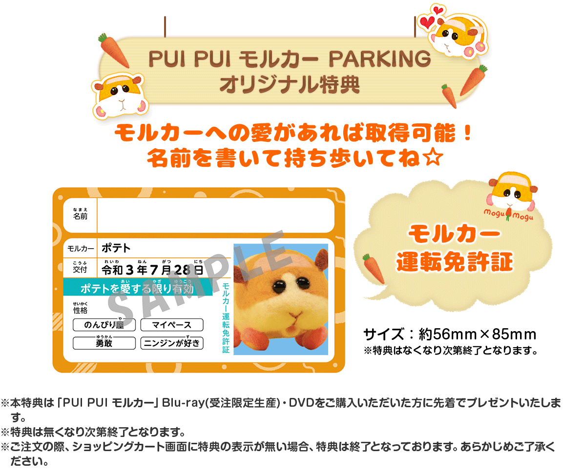 PUI PUI モルカー