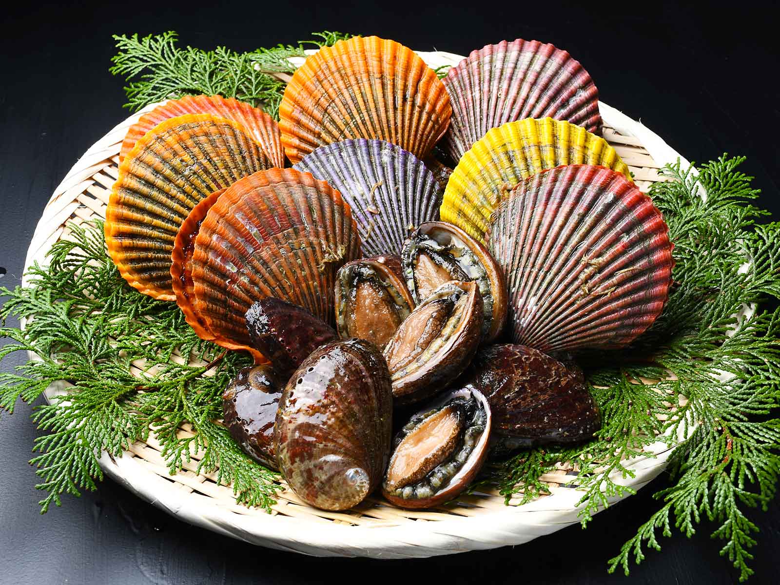 大分県 佐伯市蒲江産 （活）ヒオウギ貝 8枚 / 天然（活）トコブシ 300g