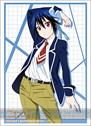 ウソツキは、恋の始まり。人気アニメ『ニセコイ』から5人のヒロインが