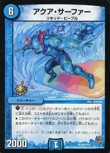 アクアサーファー ベストチャレンジャー 希少 アクアサーファー ベスト