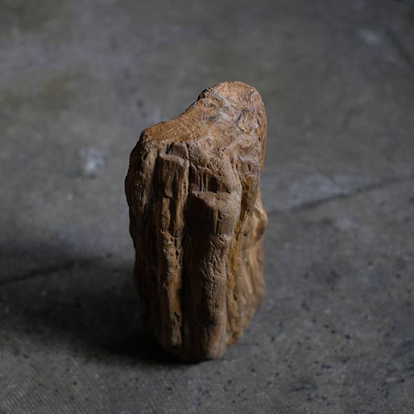 木化石（珪化木） – zakka store towi