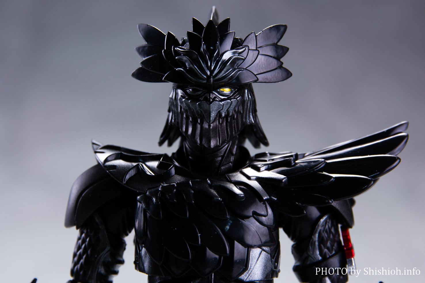 レビュー】 S.H.Figuarts カラスアマゾン