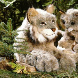 ケーセン Koesen ぬいぐるみ オオヤマネコ 伏せ ソフト LYNX LYING |木