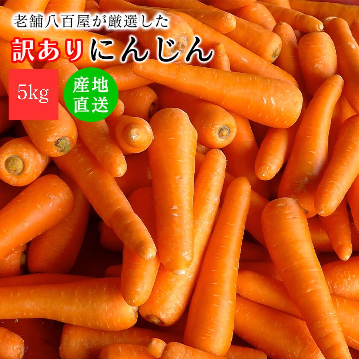 ninjin_m01.jpg?fitin=720:720