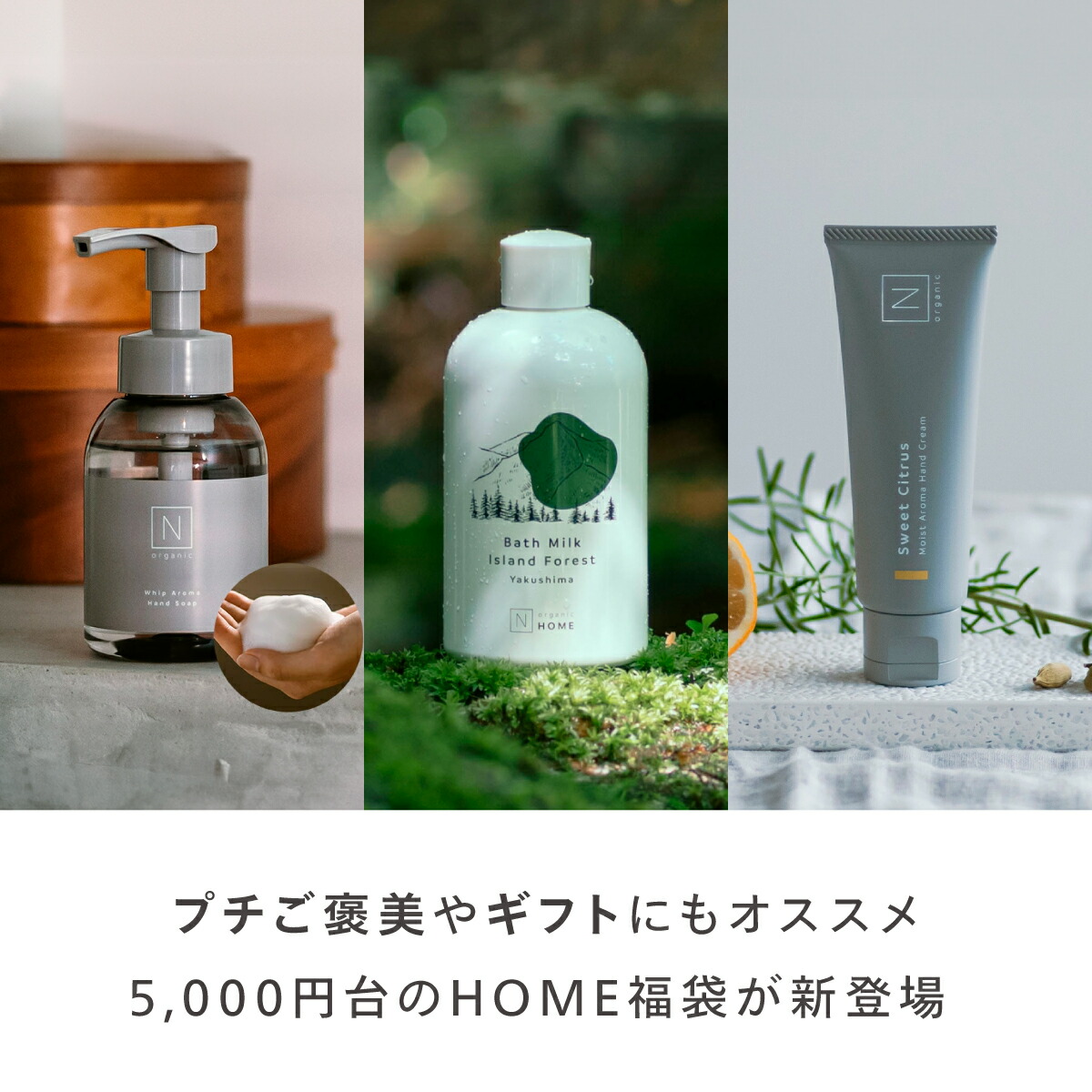 楽天市場】N organic Home 福袋2026 30%OFF 3点セット 2ヶ月分 数量