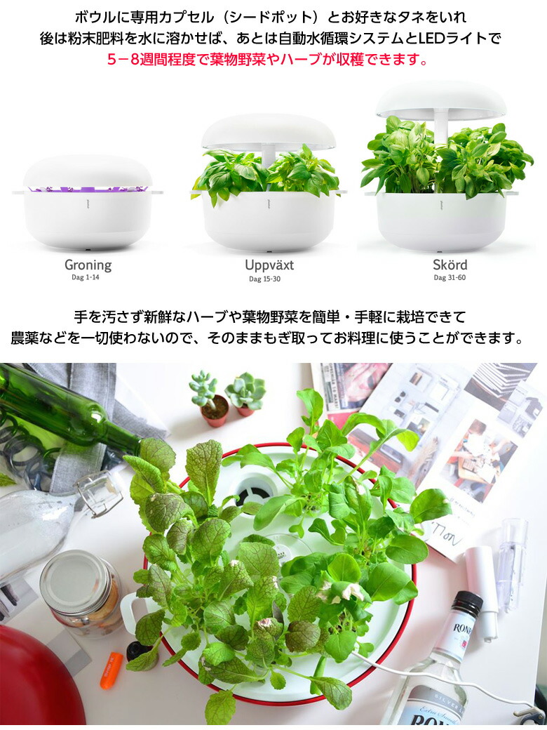 楽天市場】自動水循環システム搭載 水耕栽培キット Plantui 6