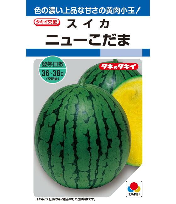 楽天市場】スイカ 種 ニューこだま 小玉 タキイ 種苗 すいか 家庭菜園