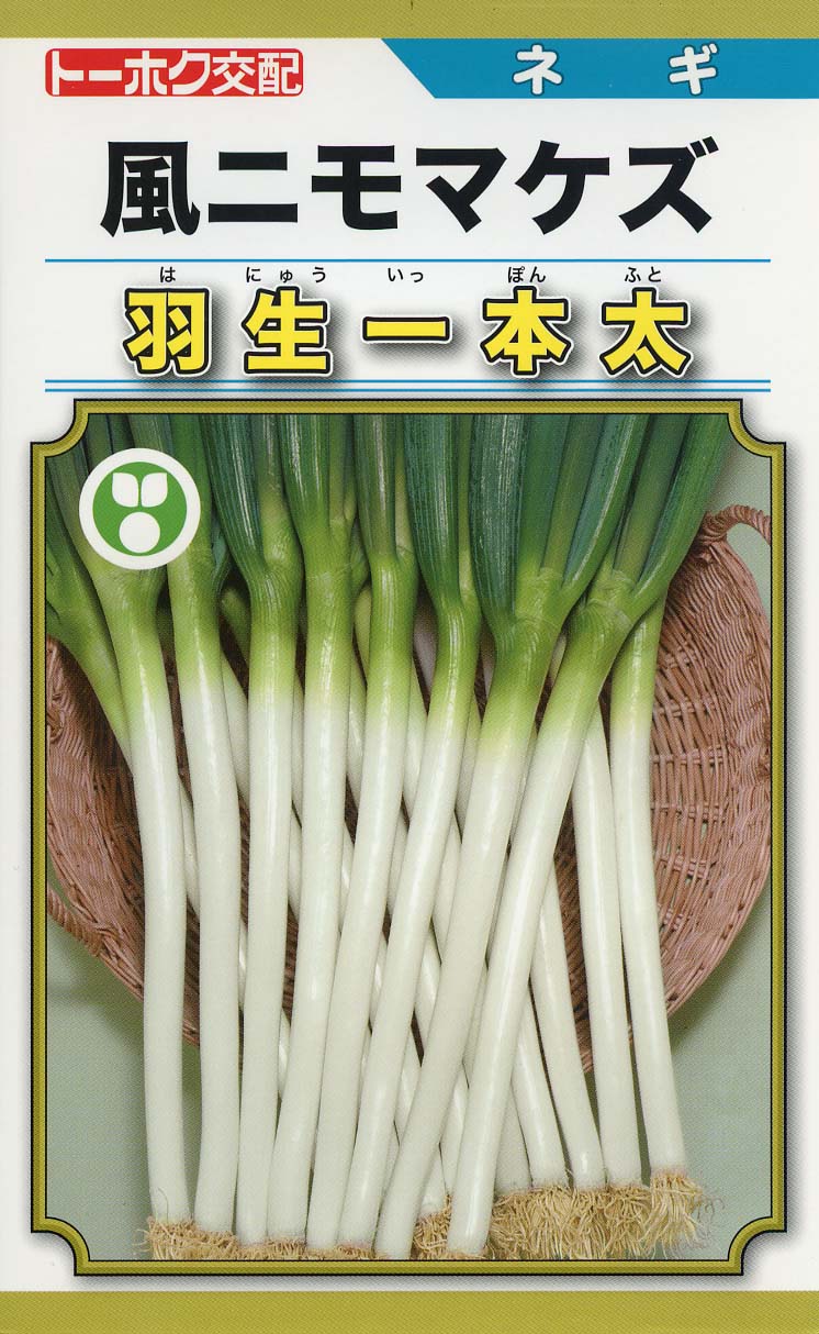 楽天市場】ネギ 種 羽生一本太 トーホク 営利用 プロ向け 大袋 畑 葱