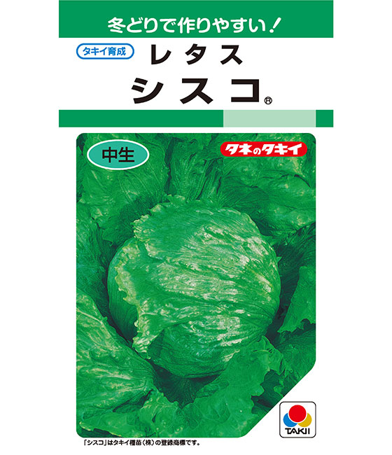 楽天市場】レタス 種 シスコ タキイ 種苗 家庭菜園 プロ向け 大袋 小袋