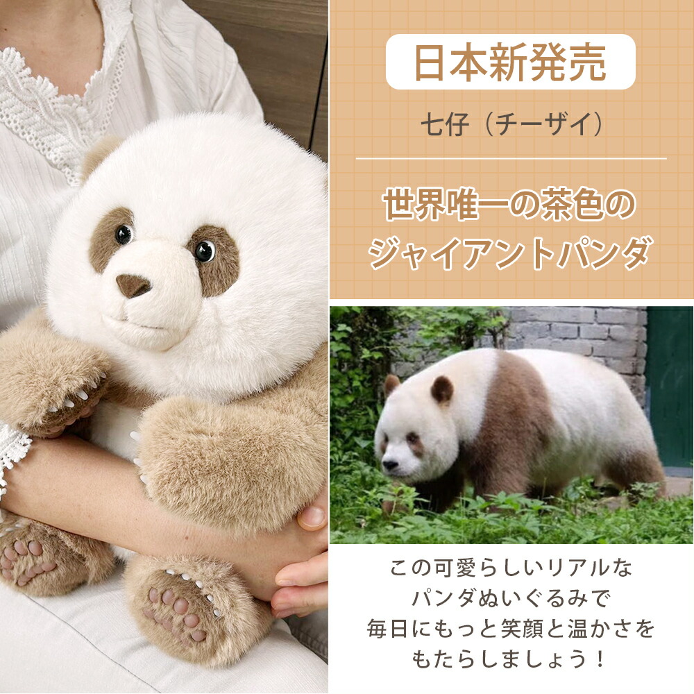 楽天市場】【ギフト対応無料】【世界唯一 茶色 チョコレート パンダ