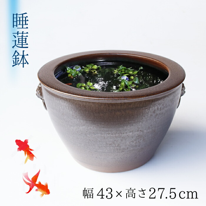 楽天市場】すいれん鉢 ビオトープ 水鉢 金魚 メダカ 睡蓮鉢 睡蓮 鉢