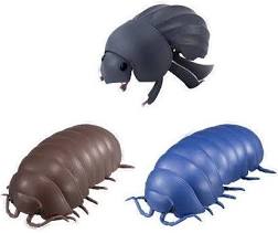 楽天市場】B-20 だんごむし 04 だんごむしとまんまるこがね