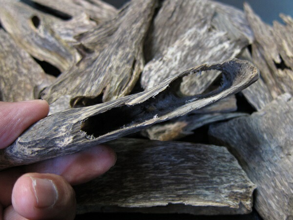 楽天市場】沈香 ベトナム産高級栽培沈香【訳あり中高ランク】100g