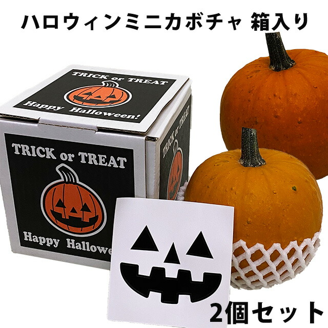 楽天市場】ハロウィンカボチャ ハロウィン カボチャ かぼちゃ 生