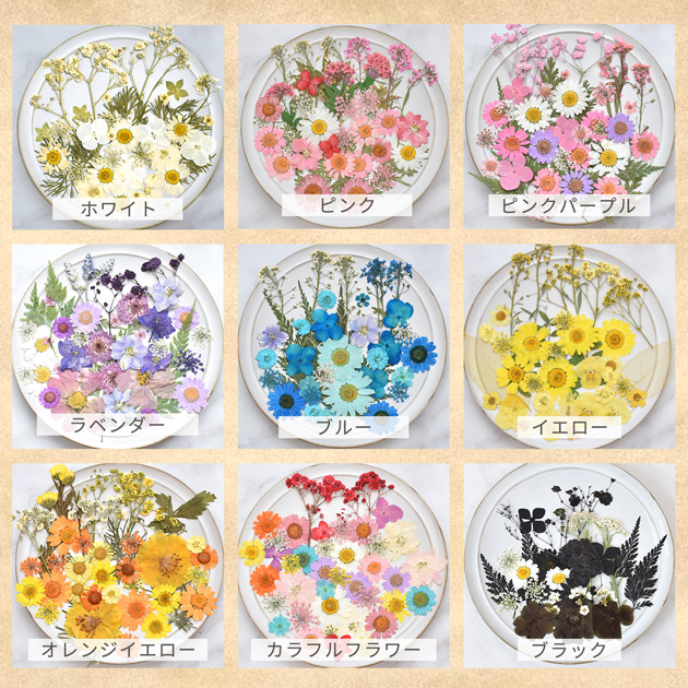 楽天市場】【訳あり】押し花 セット 40枚入 イエロー □ドライフラワー