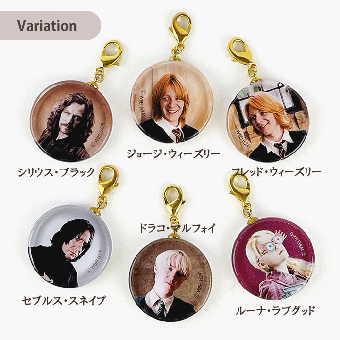 楽天市場】ハリーポッター グッズ FLAPPER フラッパー フィルムアート