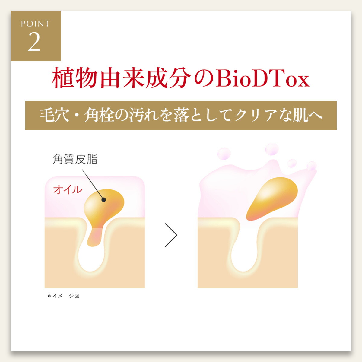 楽天市場】モイストオイル クレンジングウォーター【MEGUMI開発