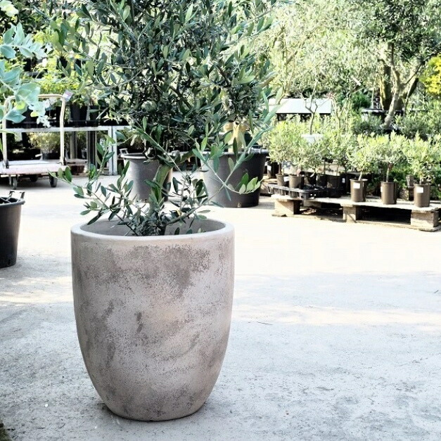 プランター 素焼き鉢」の人気商品一覧 | 安い商品を通販サイトから探す