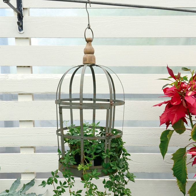 楽天市場】【最大6,000円クーポン配布中】バードケージ 鳥かご