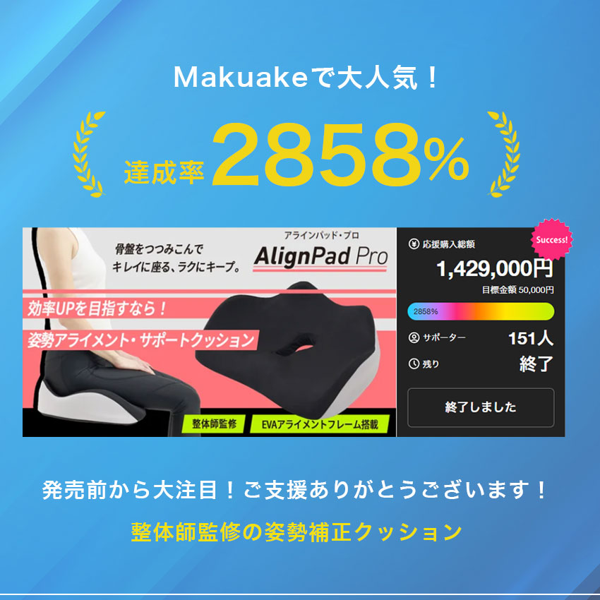 楽天市場】姿勢クッション 骨盤サポート 骨盤クッション 姿勢矯正