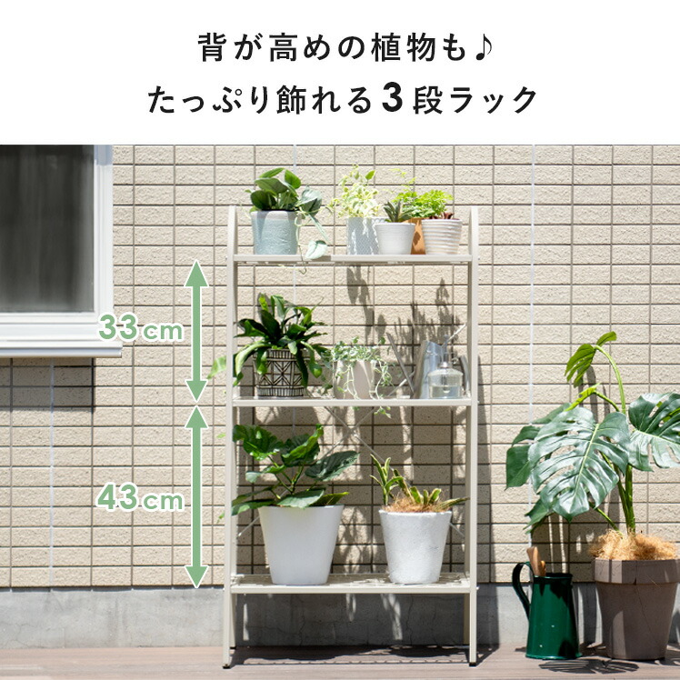 楽天市場】【2/20限定！最大5,000円OFFクーポン配布中】 植物ラック