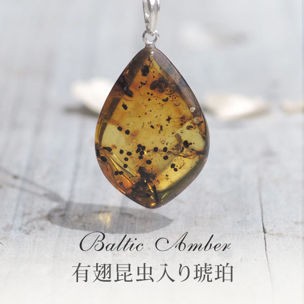 楽天市場】【バルト海の琥珀】ペンダントトップ 虫入り琥珀 こはく