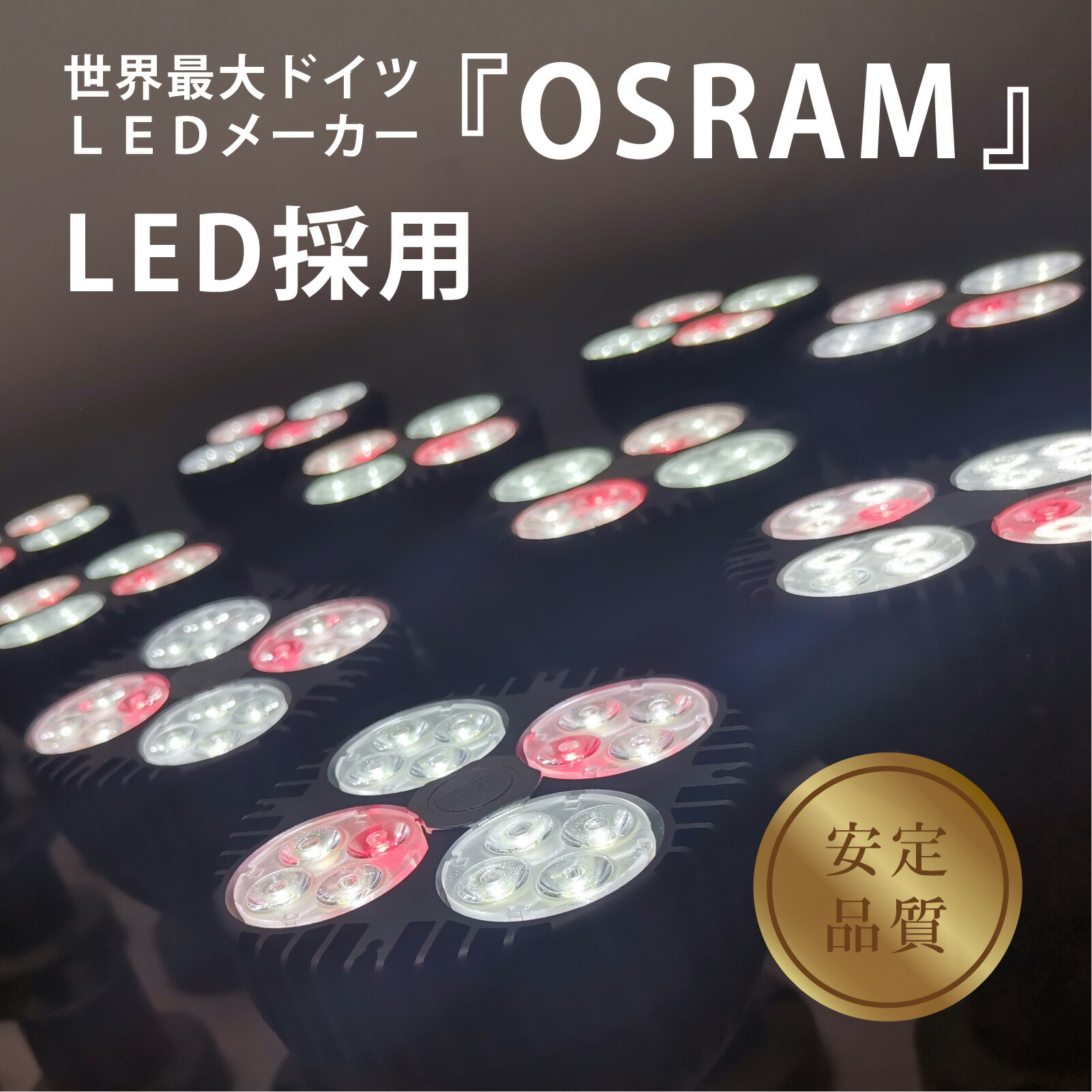 楽天市場】LEDSTAR P33 LEDライト 植物育成ライト 高PPFD 植物用