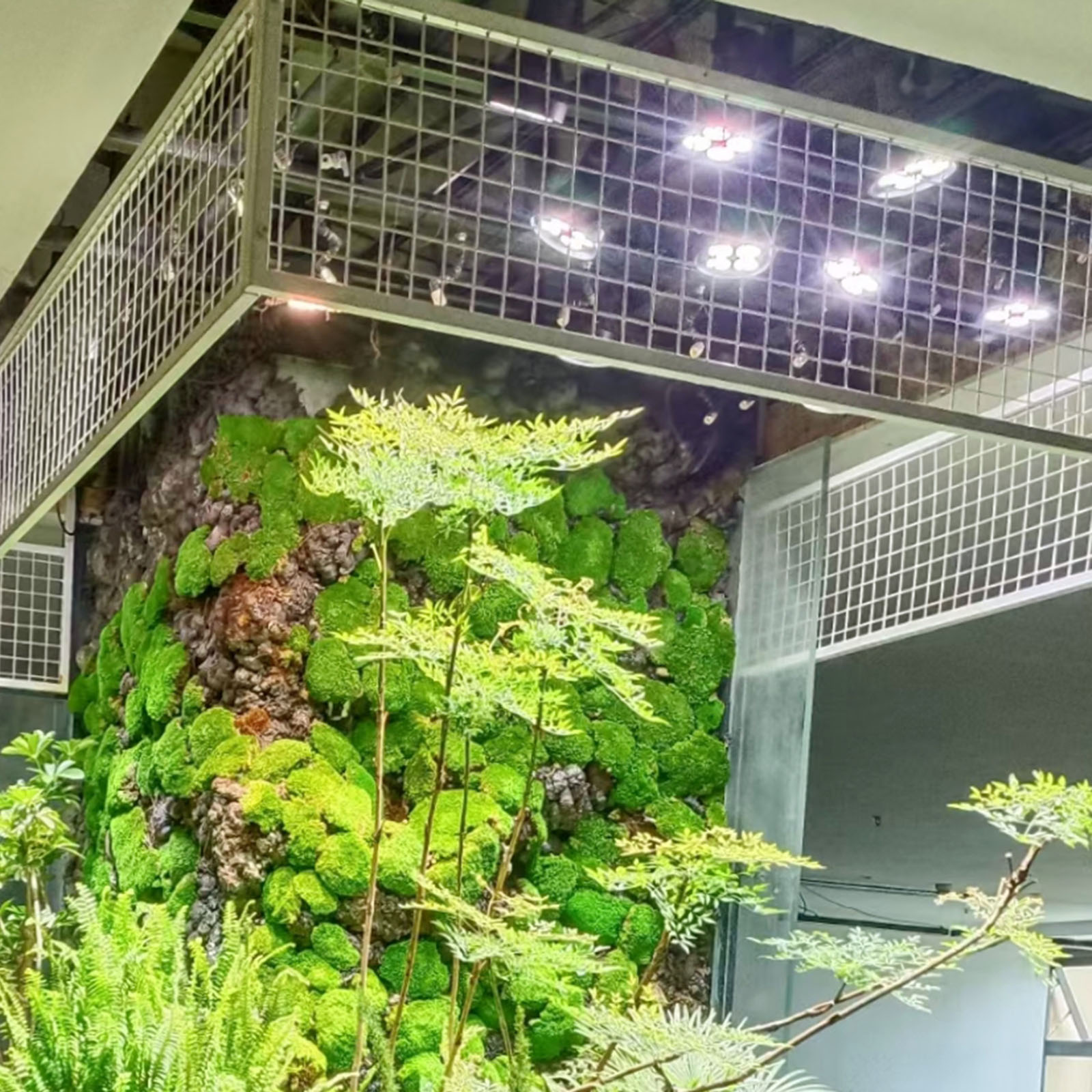 楽天市場】LEDSTAR P33 LEDライト 植物育成ライト 高PPFD 植物用