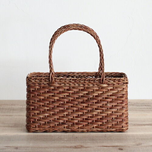 楽天市場】あけび 蔓の通販