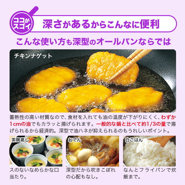 楽天市場】＼ポイント10倍／ フライパン オールパンゼロ 20cm ショコラ