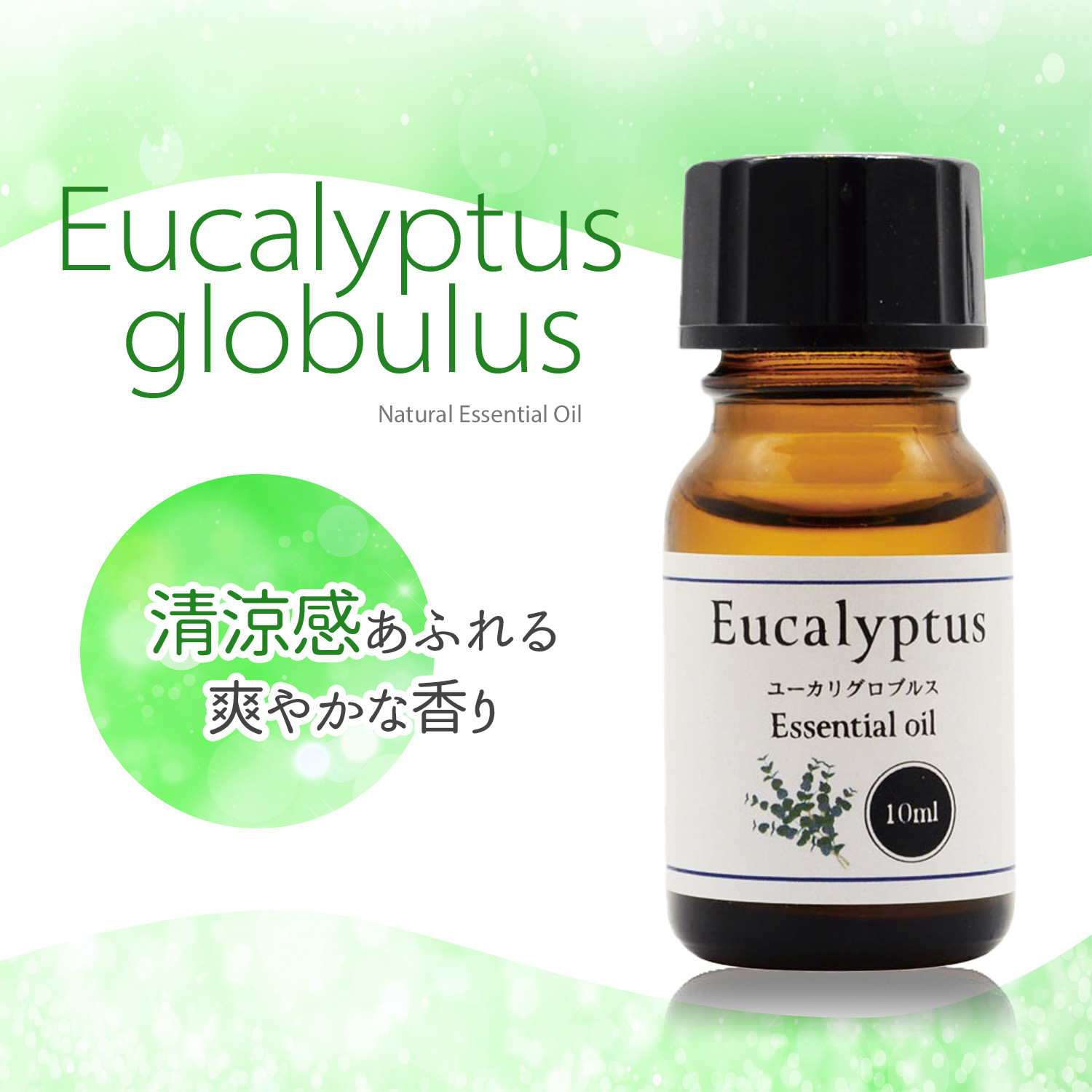 楽天市場】エッセンシャルオイル 人気 5種セット 各 10ml 精油 アロマ