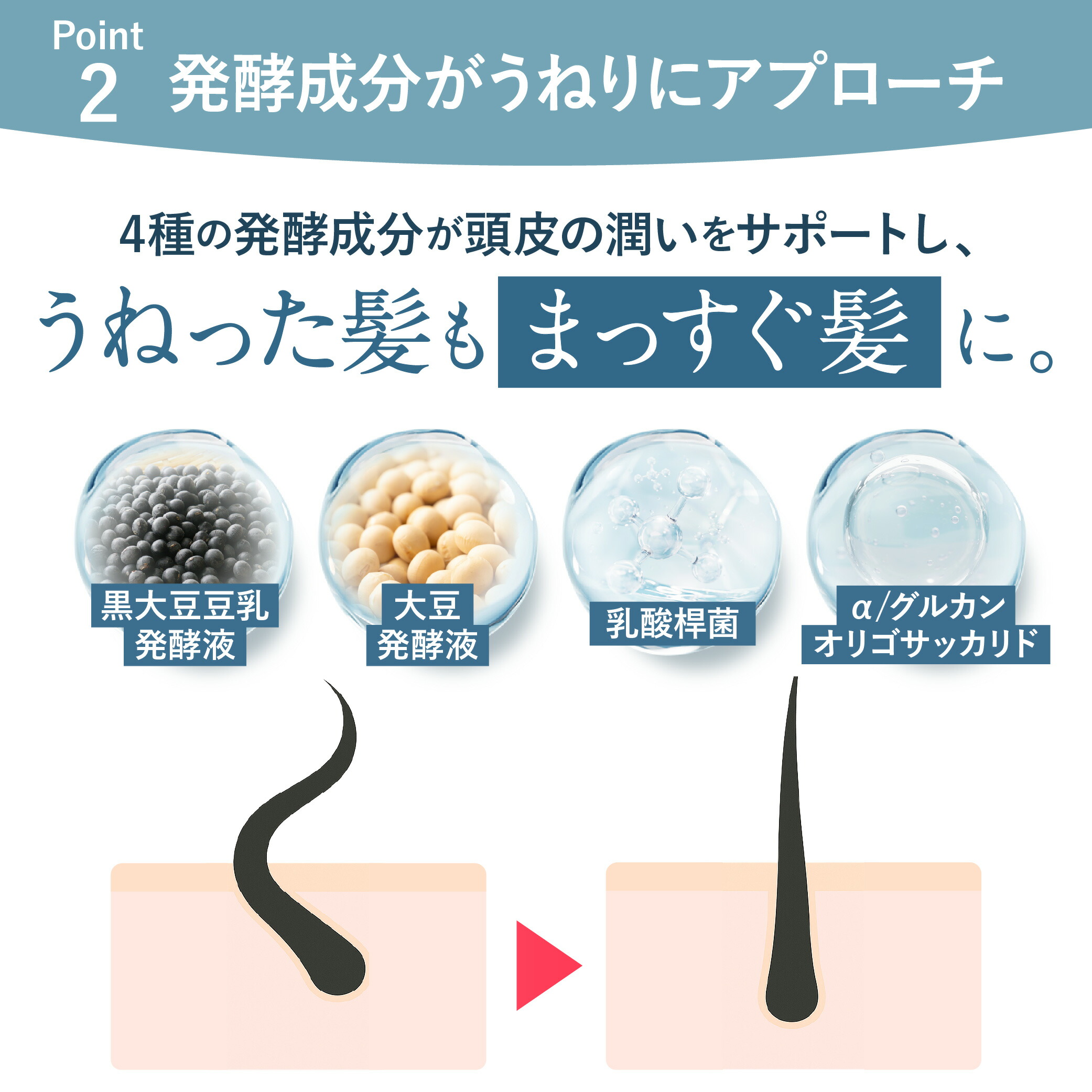 楽天市場】☆ポイント10倍 2/25（水）まで☆【楽天1位獲得】高濃度