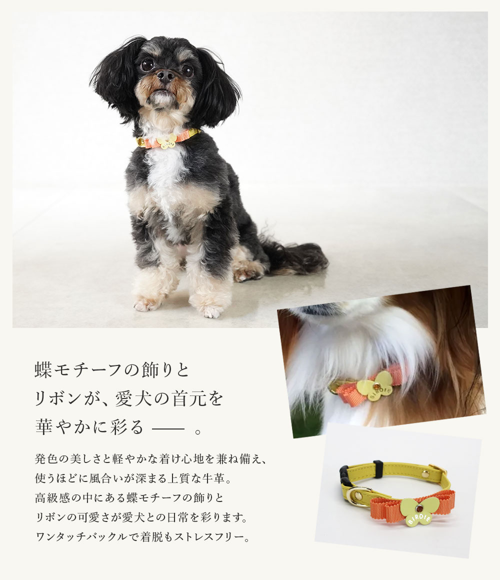 楽天市場】レザープチパピヨンカラー size S【BIRDIE/バーディ 小型犬