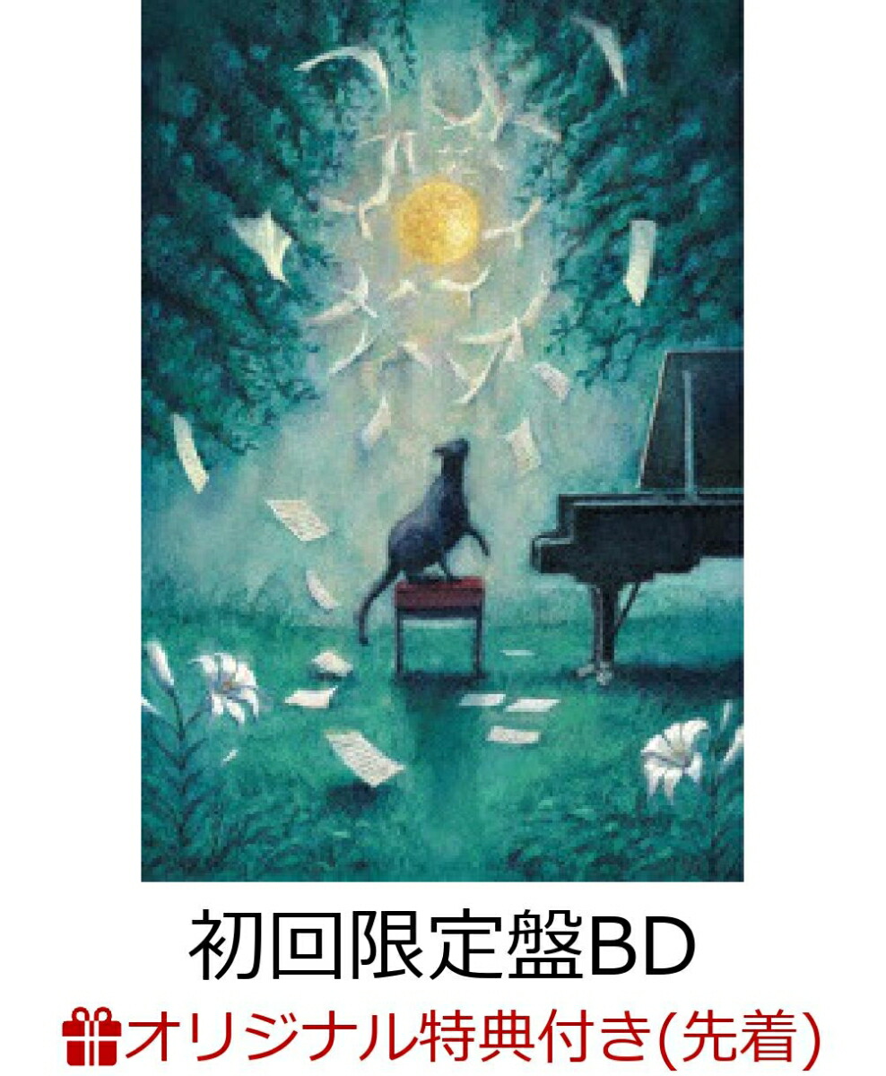 楽天ブックス: 【楽天ブックス限定先着特典】ヨルシカ LIVE「月と猫の