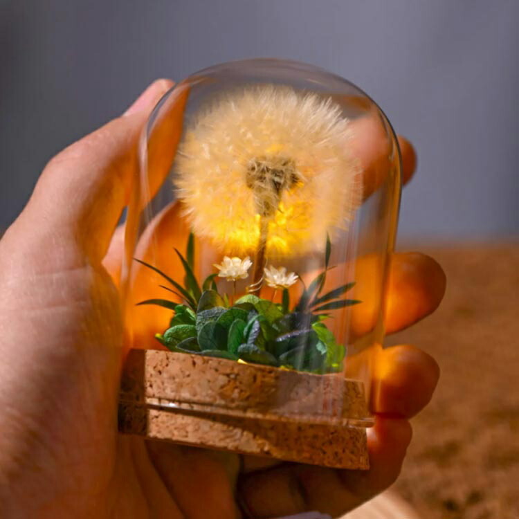 楽天市場】ドライフラワー プリザーブドフラワー ガラスドーム