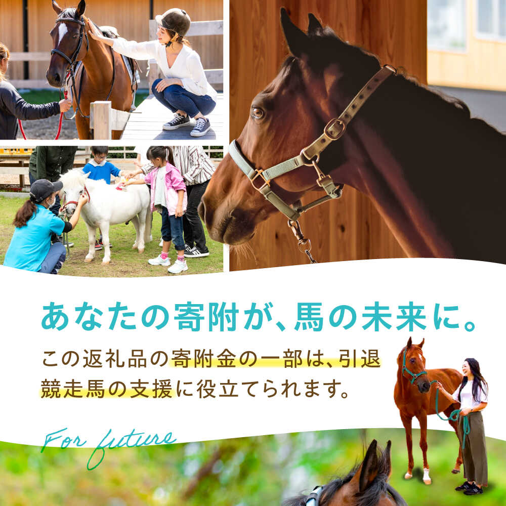 楽天市場】【ふるさと納税】TCCホースシュー 世界に一つだけの蹄鉄