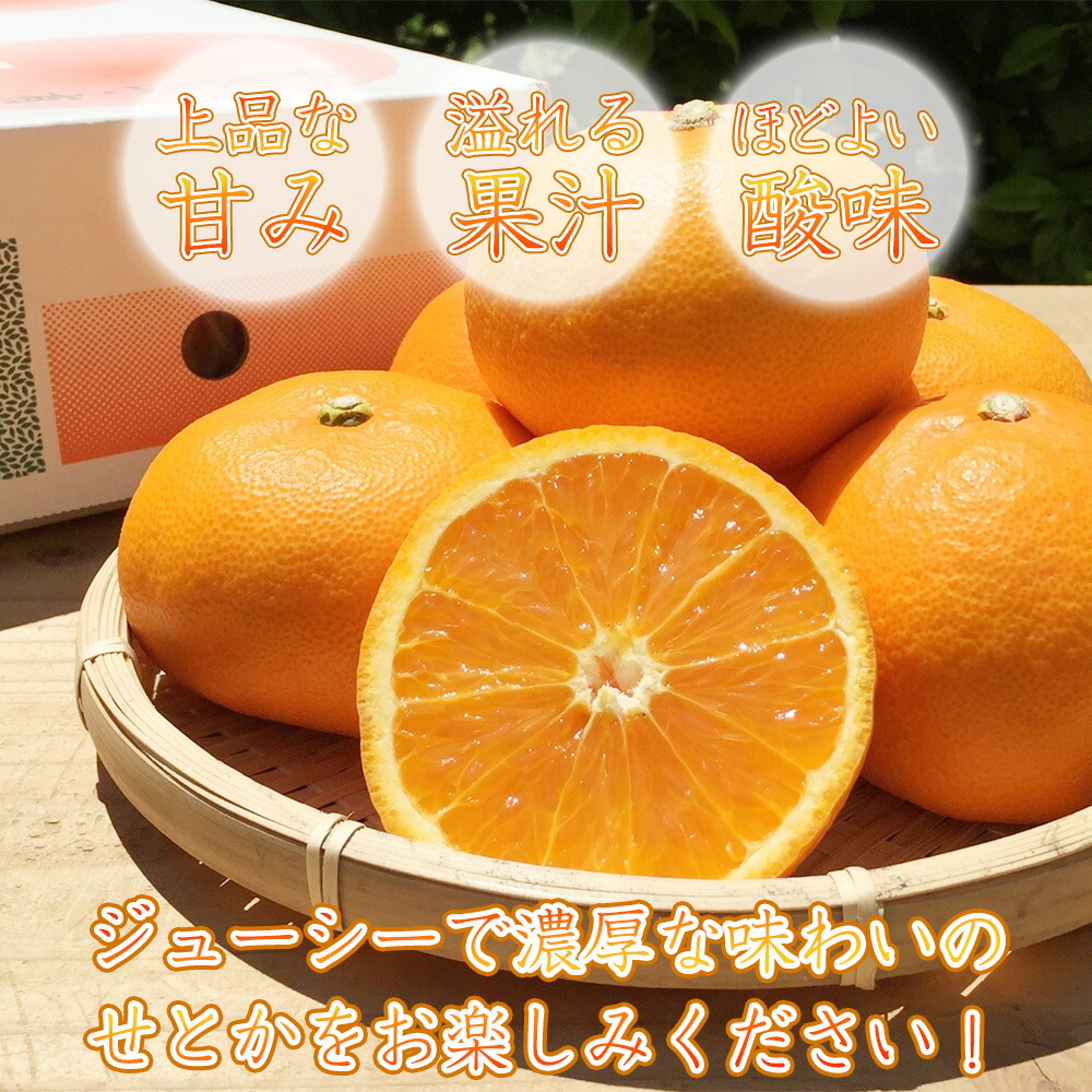 楽天市場】【ふるさと納税】【限定】 【産地直送】和歌山県産 せとか