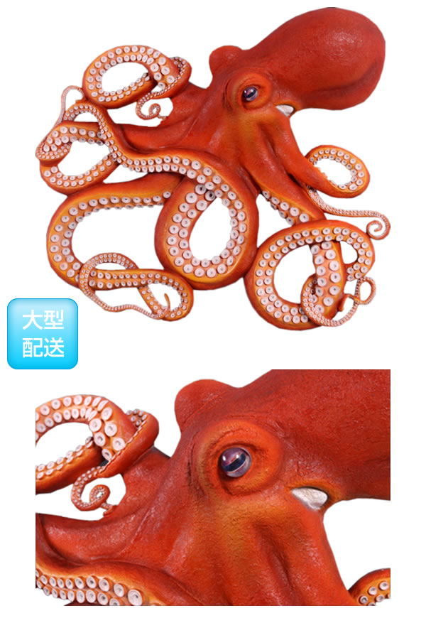 楽天市場】FRPアニマルオブジェ 壁掛け用・巨大なタコ【即納可】置物