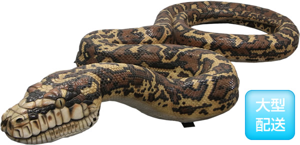 楽天市場】FRPアニマルオブジェ 巨大にしきへび置物 動物 爬虫類 蛇