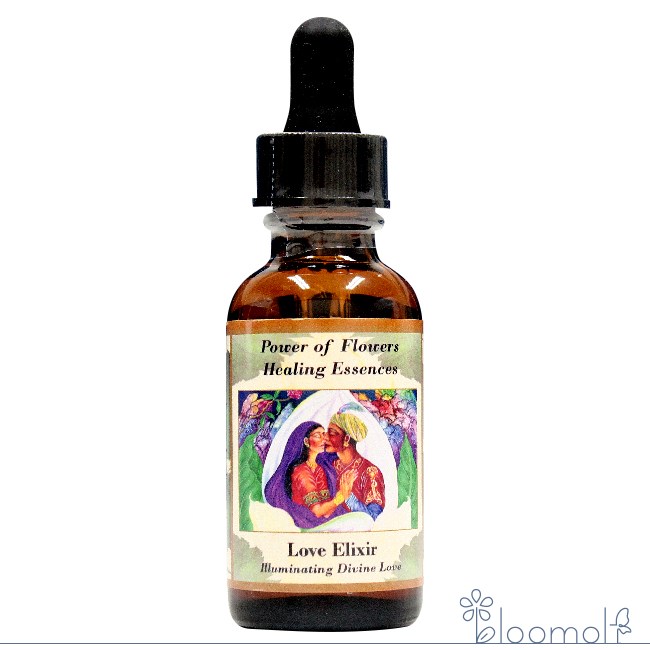 楽天市場】#93 ヒーリング・ザ・ハート・オブ・ザ・ソウル アンジェ