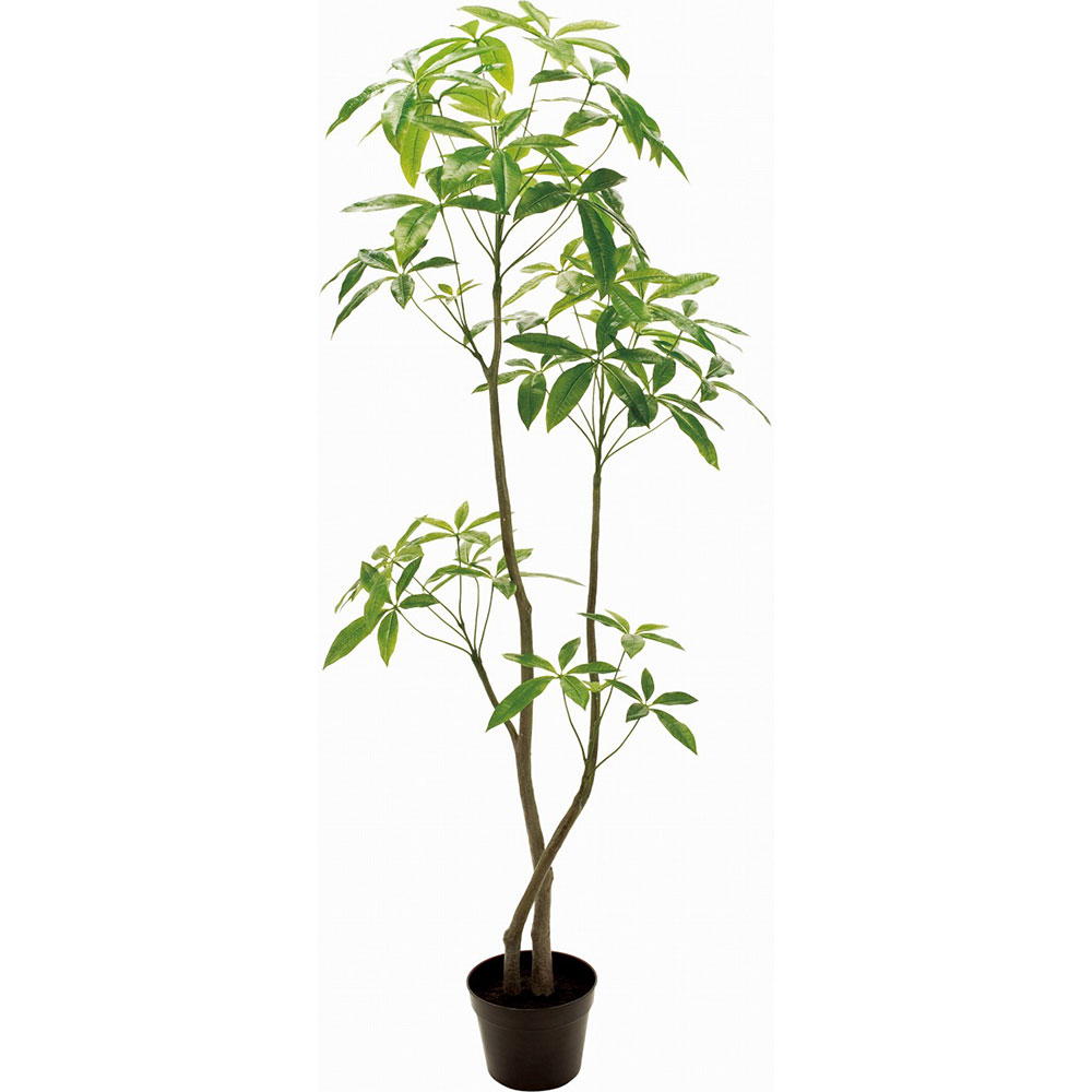 楽天市場】パキラ フェイクグリーン 大型 観葉植物 人気 おしゃれ